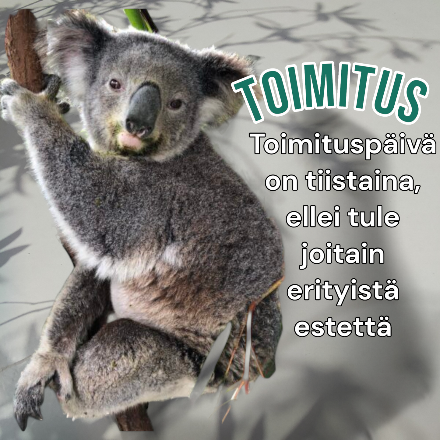 Kellonranneke Nyvel | sininen