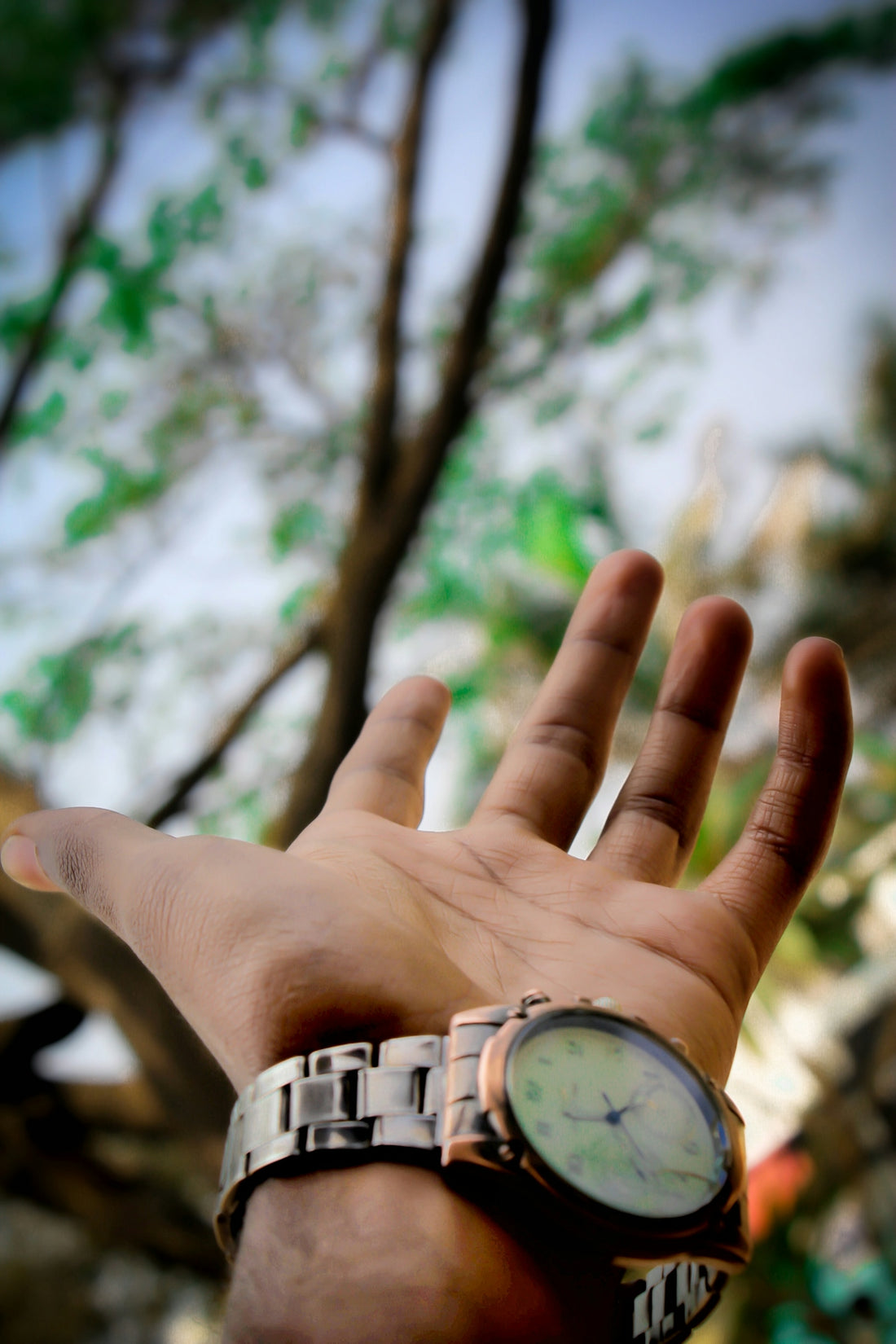 person wearing gold and silver watch