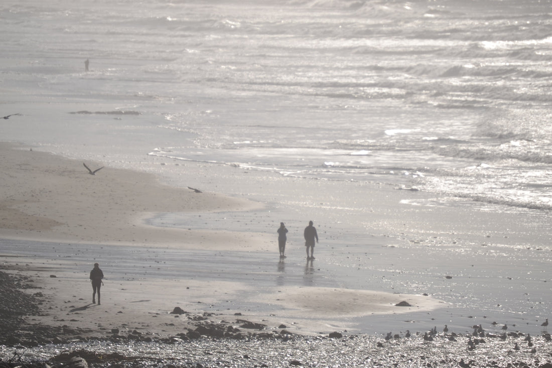 a couple of people walking along a beach next to the ocean