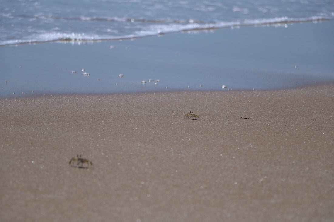 two footprints in the sand of a beach