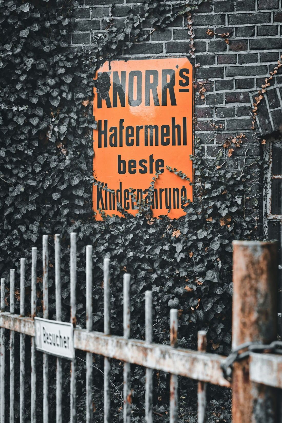 Orange sign on brick wall covered in ivy