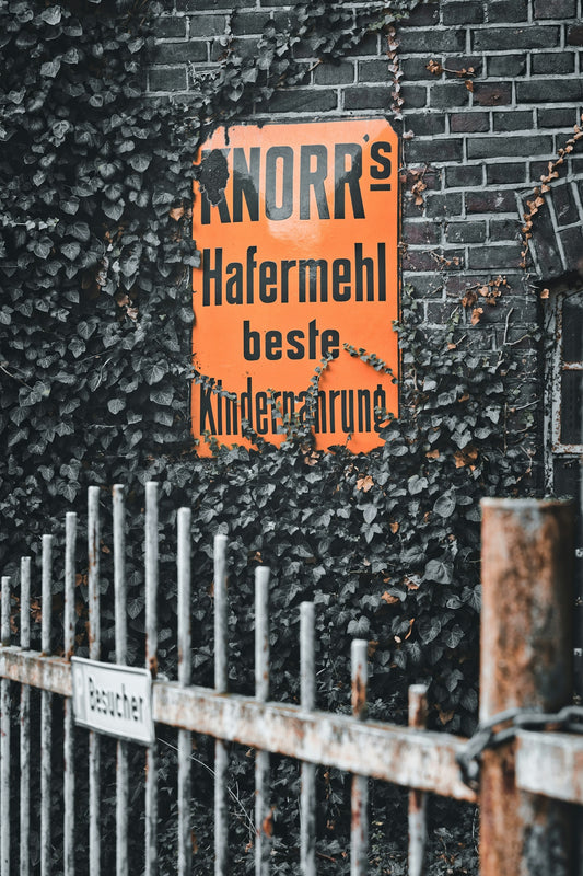Orange sign on brick wall covered in ivy