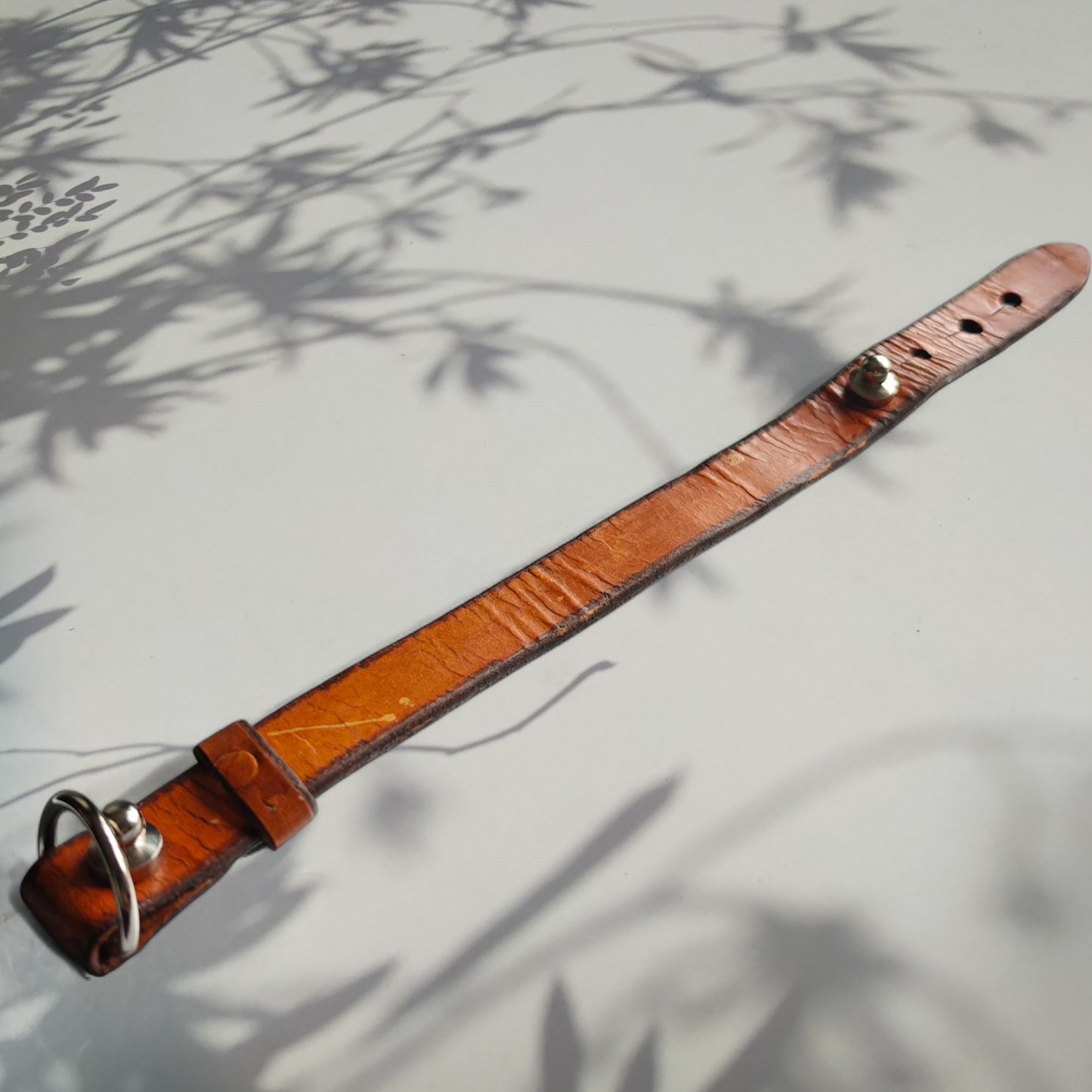 Aseman Tuonenlanka| kasviparkittu nahka | tikkaamaton, käsintehty ranneke Liedosta